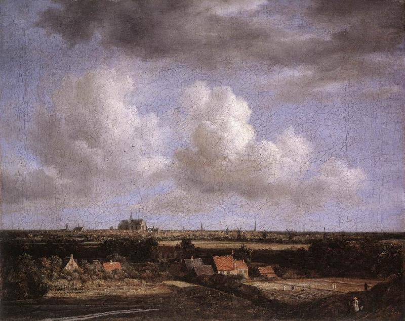 Jacob van Ruisdael Landscape with a View of Haarlem china oil painting image
